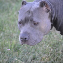 Esther